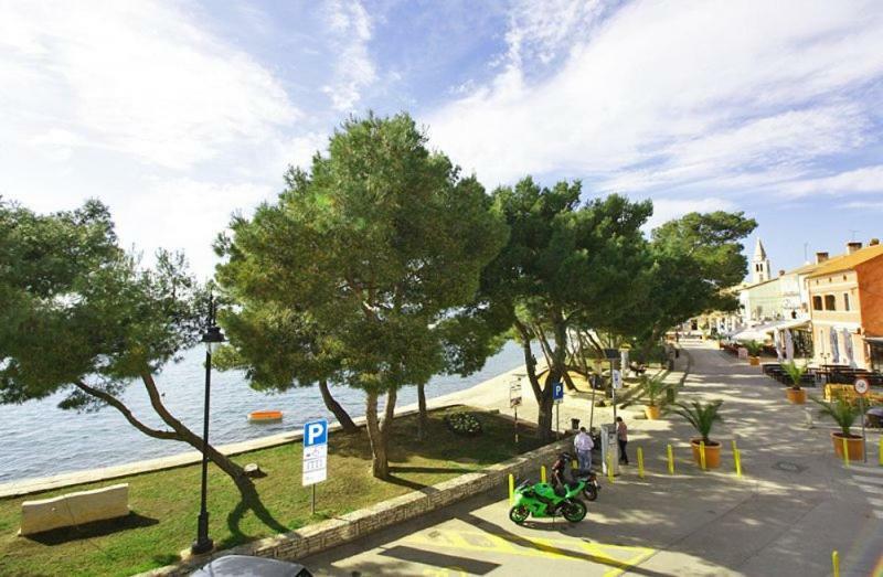 Apartman Petra Apartment Fazana Exterior photo